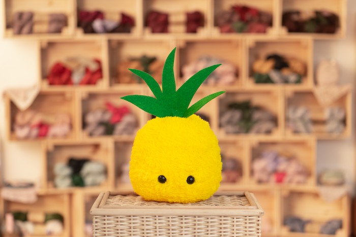 pineapple plushie making workshop