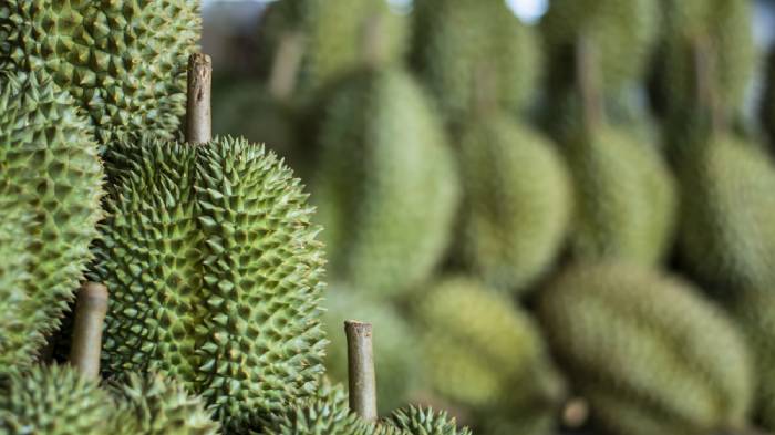 date ideas durians