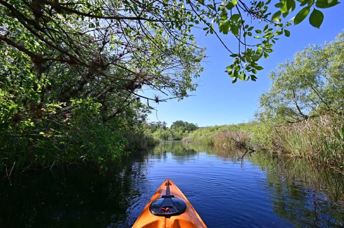 date ideas kayak mangroves