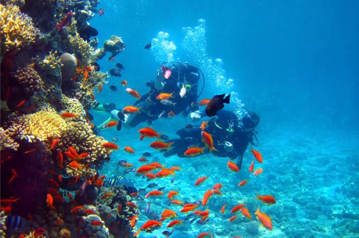 date ideas scuba diving