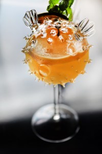 Ginkyo by Kinki Born A Star