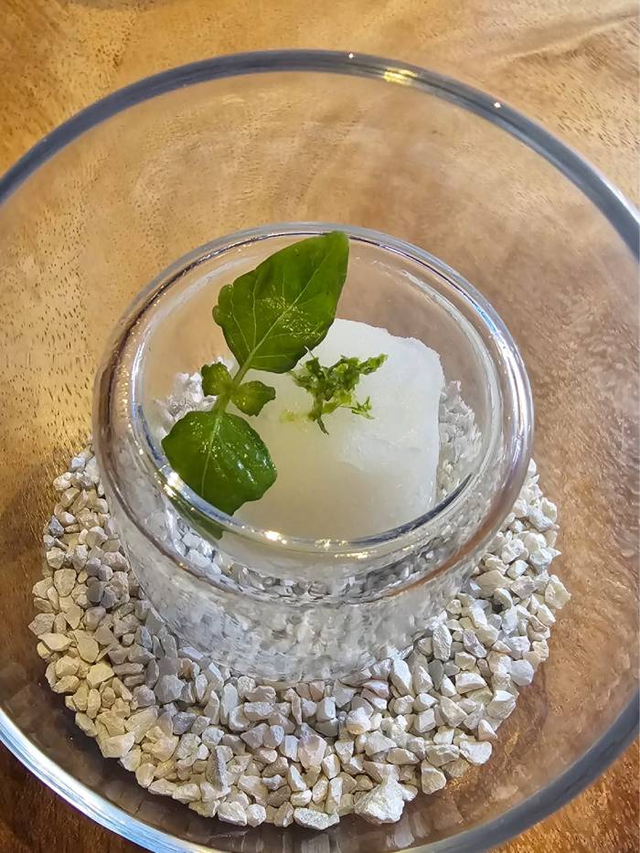 akira back shiso sorbet
