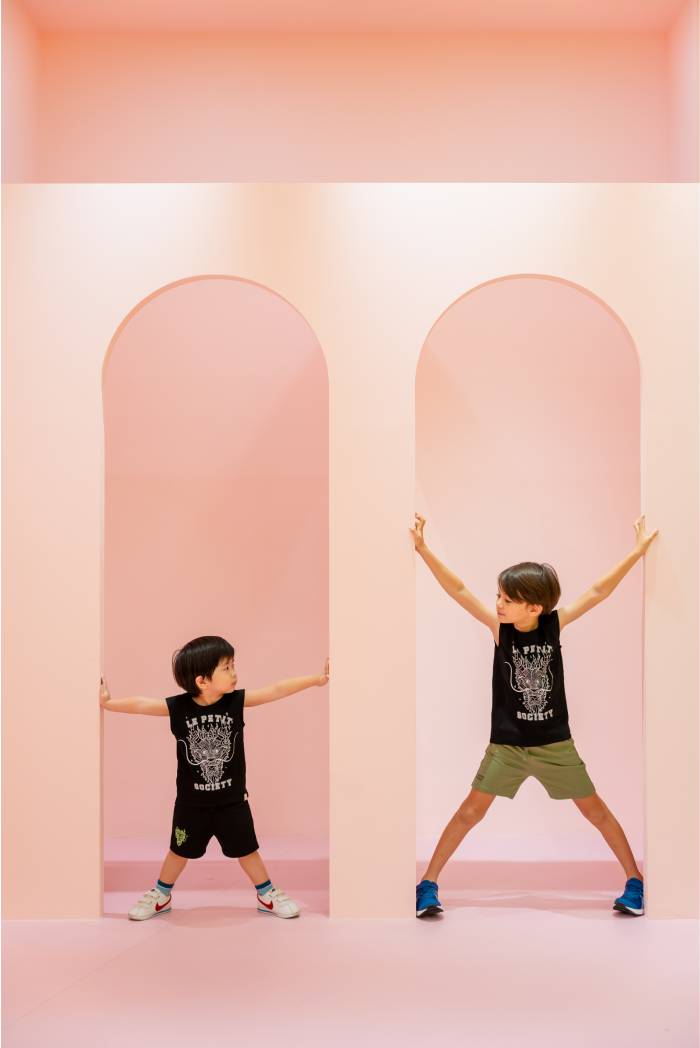 le petit society dragon collection