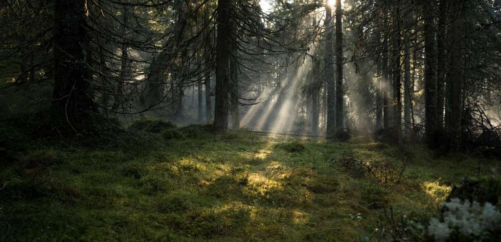 eat pray love sweden