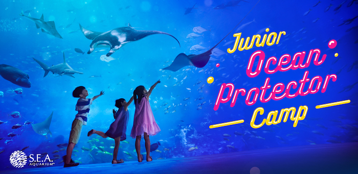 SEA aquarium SummerCamp