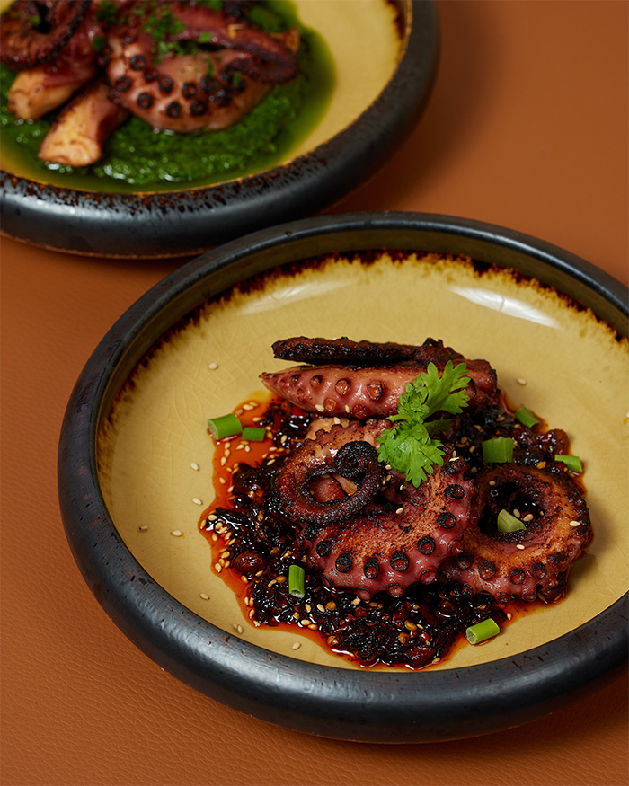 binary-review-octopus