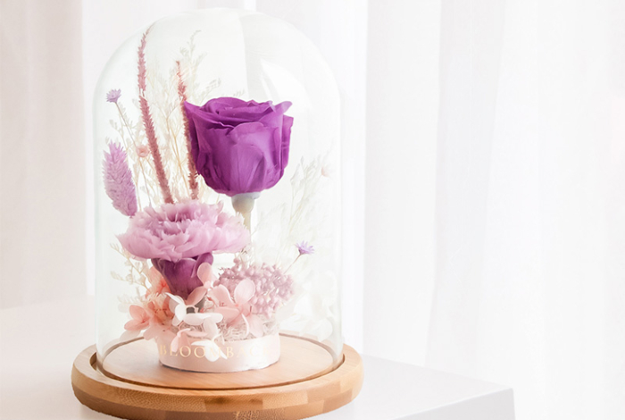 bloomback-woman-of-strength