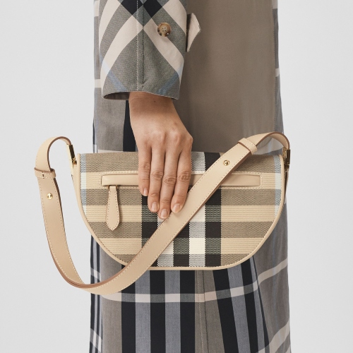 burberry olympia bag closeup