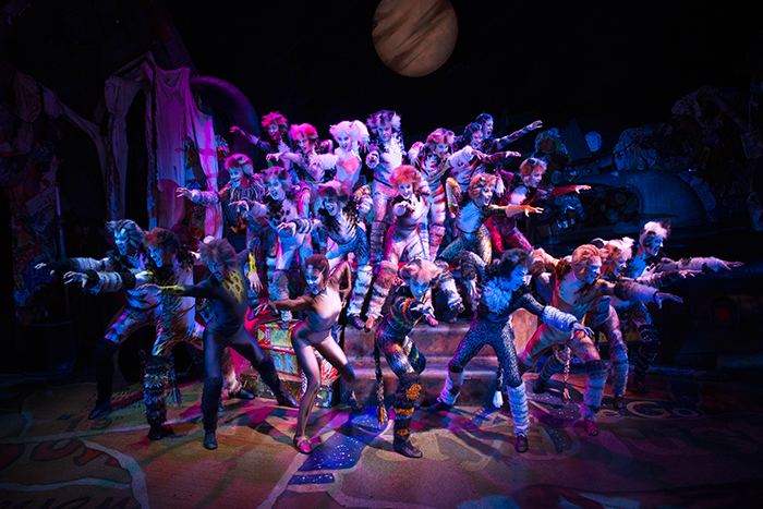 cats-musical-mbs-4