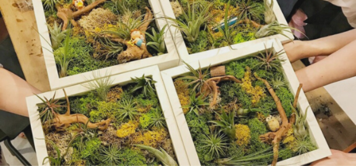 christmas-gift-for-mother-in-law-the-green-capsule