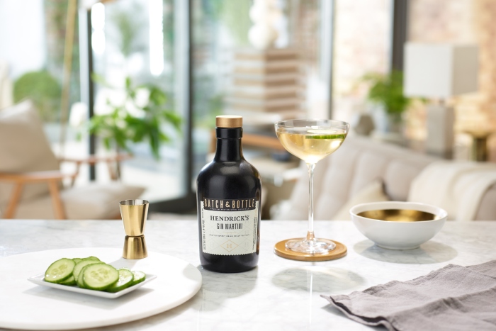 christmas gifts for foodies hendricks gin martini