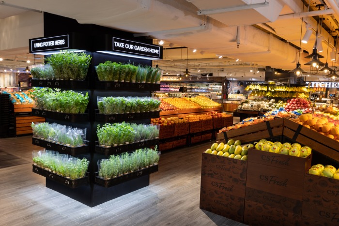 cold storage cs fresh paragon organic potted herbs