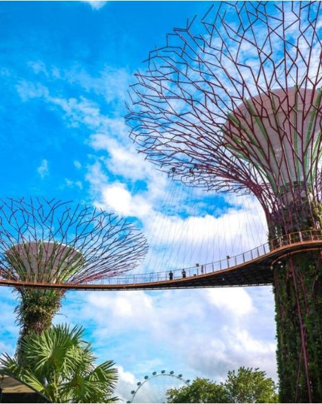 date-ideas-singapore-gardens-by-the-bay