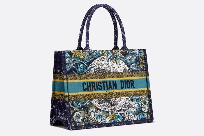 dior small book tote
