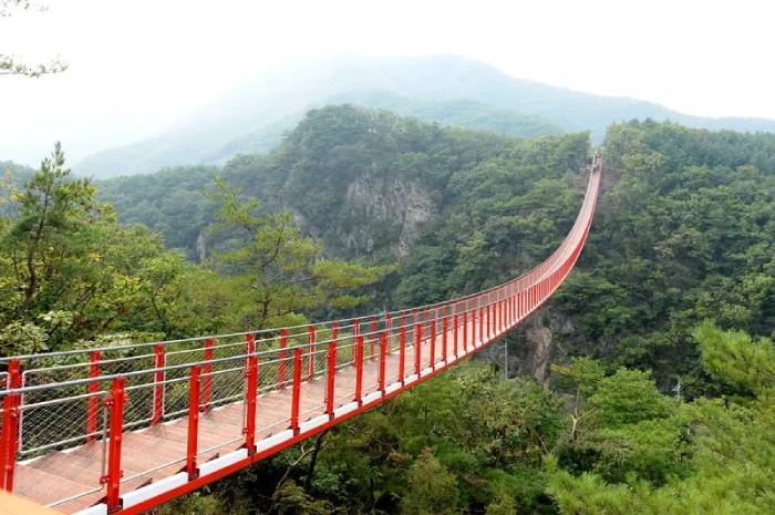 dmz suspension bridge