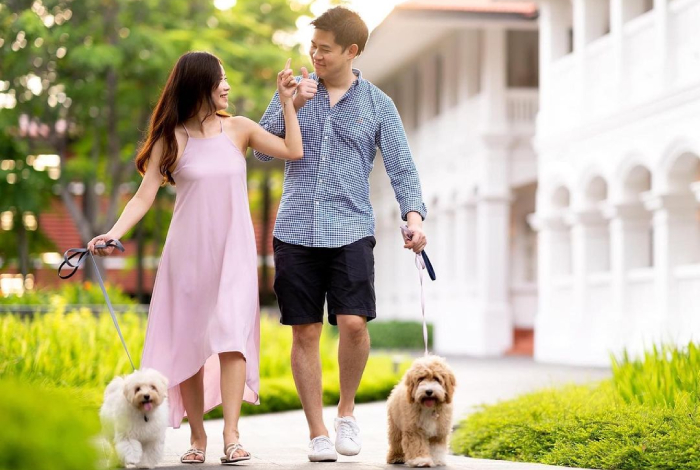 fur parents and furkids