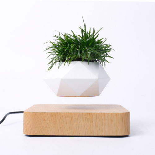 gifts-for-tech-junkies-floating-flower-pot