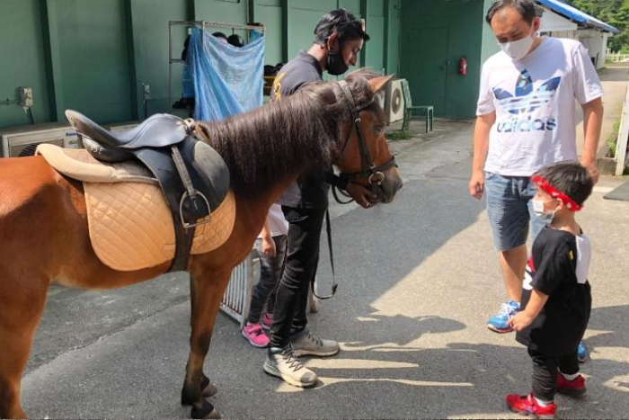 glamping-singapore-ride-horses