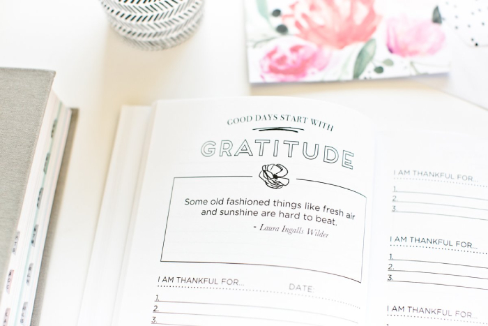 gratitude journals - (3)