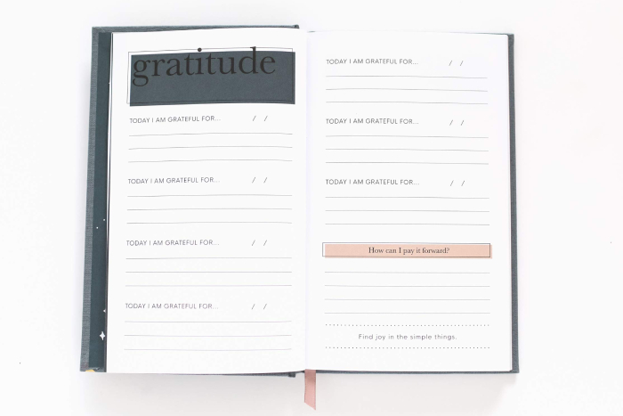 gratitude journals