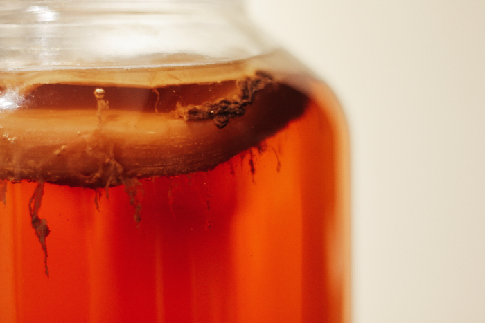 how to make kombucha (4)