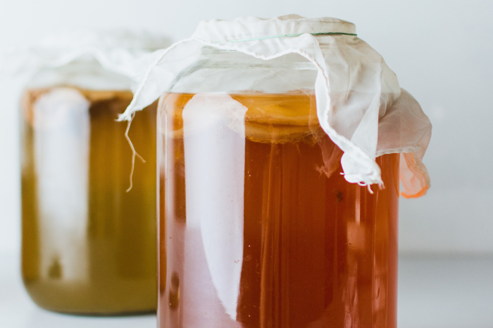 how to make kombucha (6)