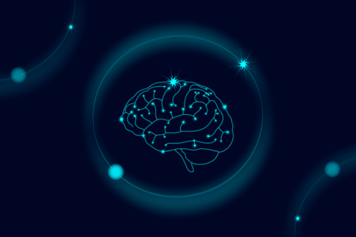 human-brain-vector