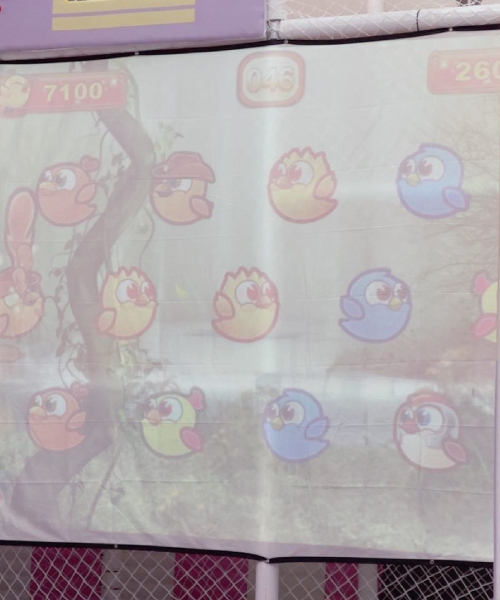 interactive activity