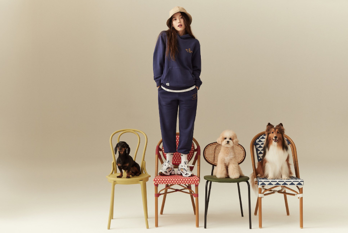 iu new balance with dogs