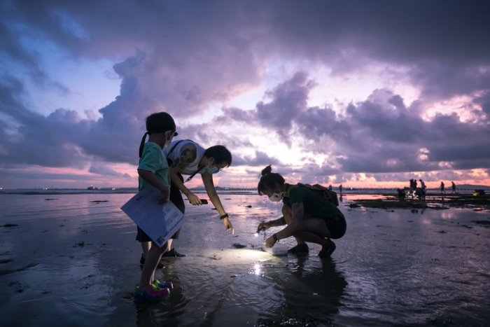 june holiday kids activities singapore - intertidal