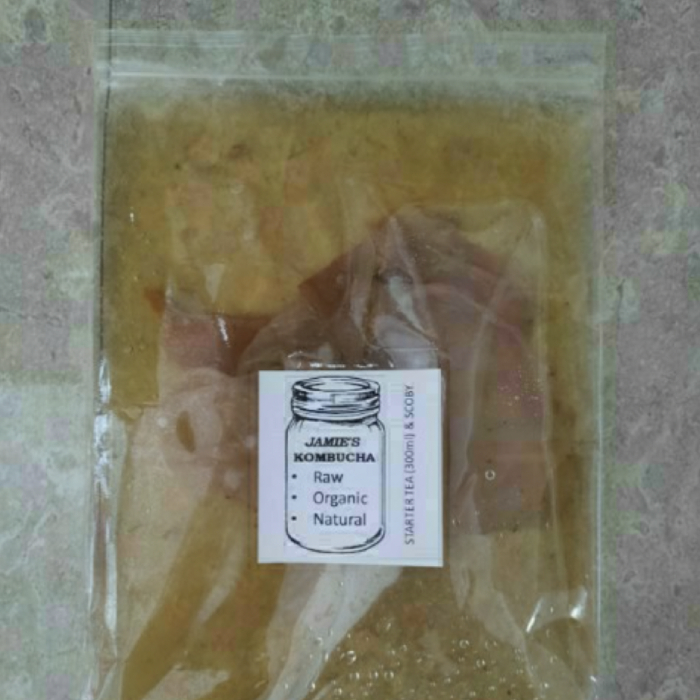 kombucha scoby