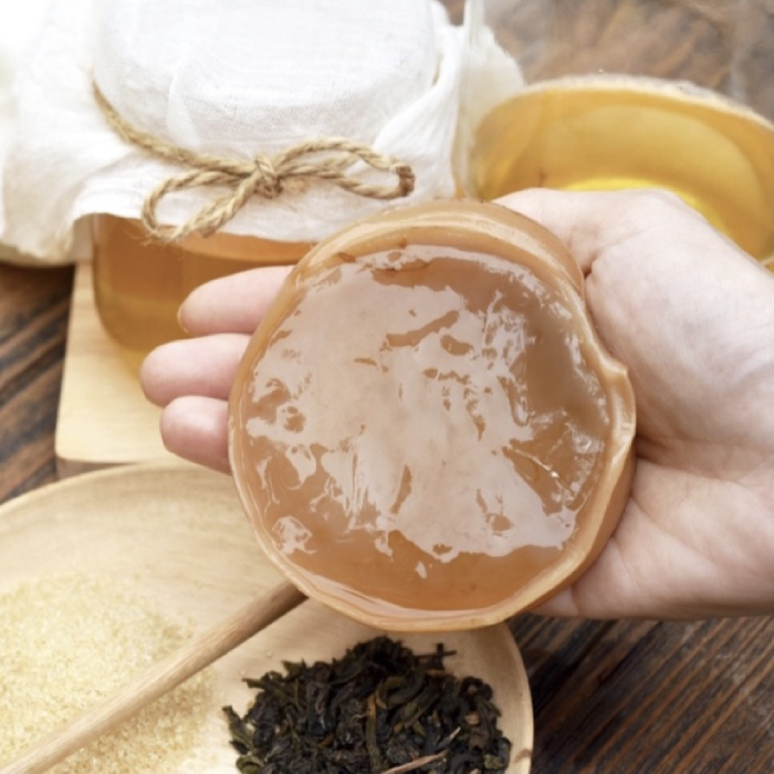 kombucha scoby