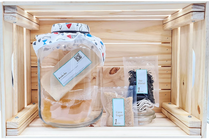 kombucha scoby