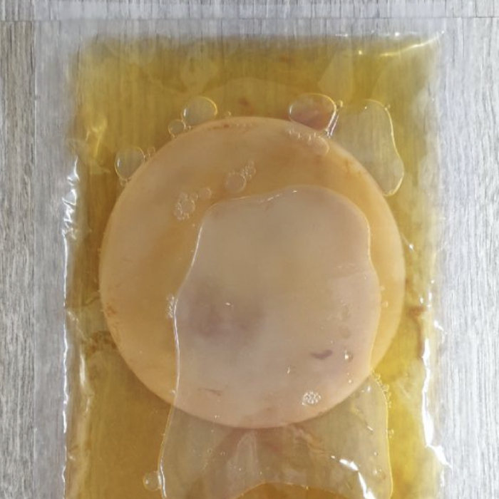 kombucha scoby