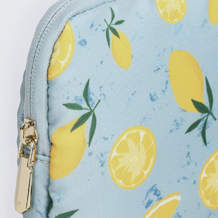laptop case singapore - lemon