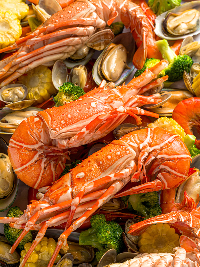 lobstar-review-lobster-superstar-bag