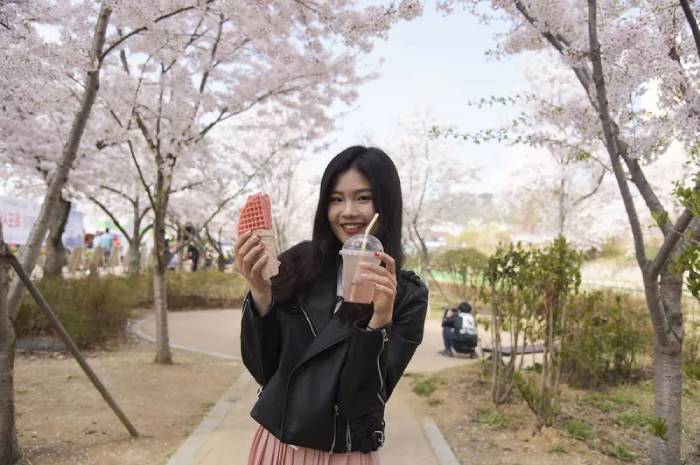 seoul cherry blossoms