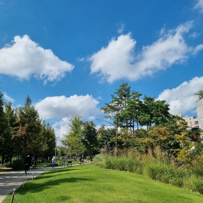 seoul instagram spots - gyeongui line forest park