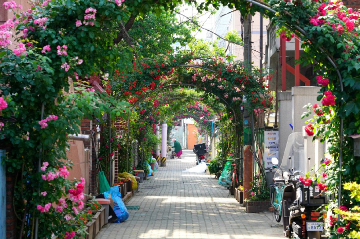 seoul instagram spots - rose village