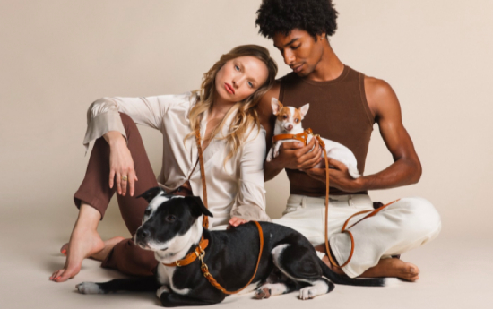 molly & stitch butter leather collection