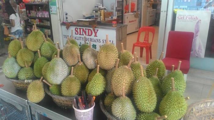 sindy durians