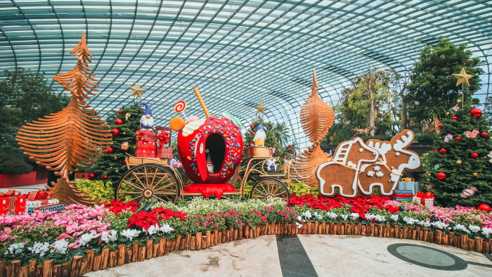 singapore-rediscover-vouchers-SRV-eligible-activities-gardens-by-the-bay-tour