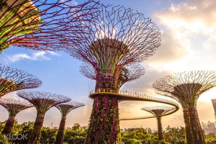singapore-rediscover-vouchers-SRV-eligible-activities-gardens-by-the-bay-tour