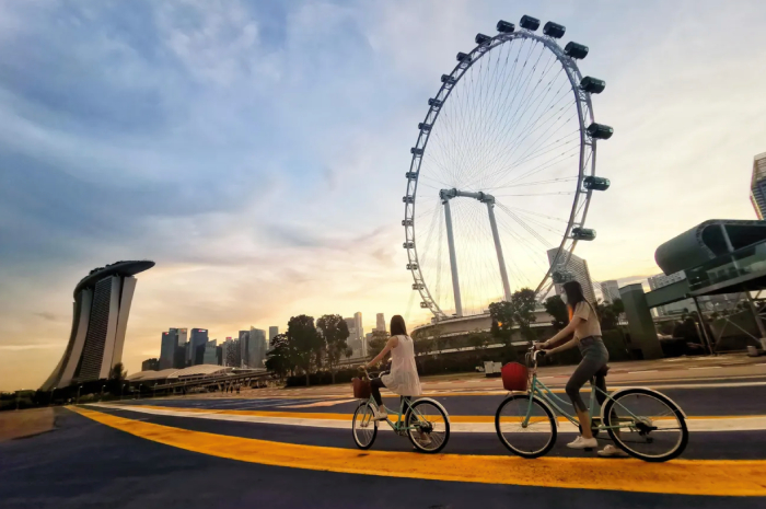 singapore-rediscover-vouchers-SRV-eligible-activities-singapore-flyer