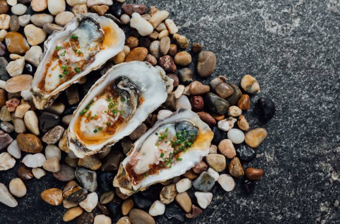 southbridge oysters 1