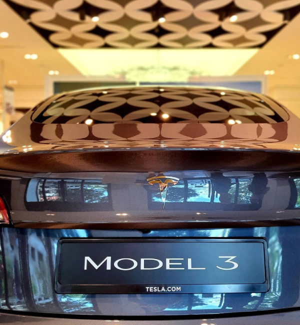 tesla back view