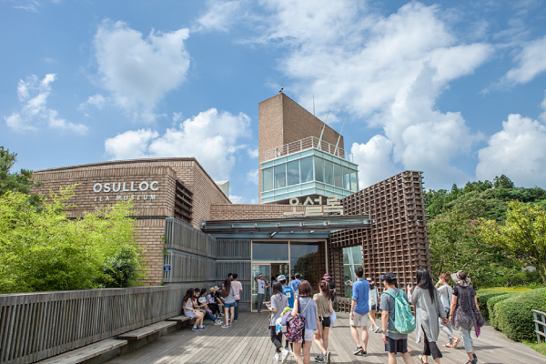 things to do in jeju - osulloc tea museum
