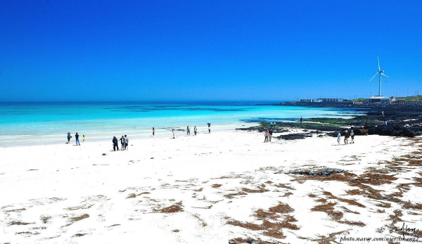 things to do in jeju - woljeongri beach