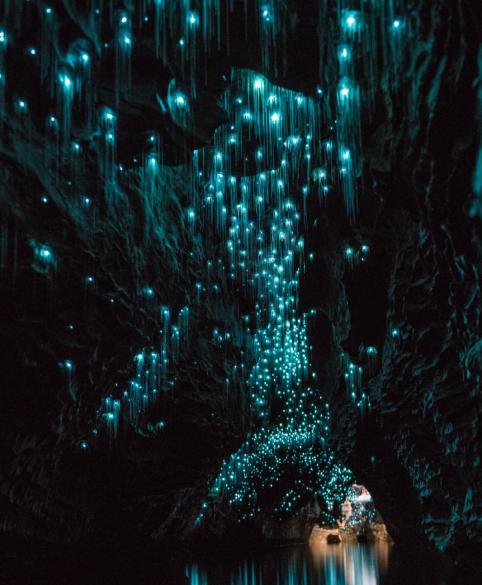 things to do in new zealand (1)