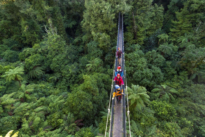 things to do in new zealand (19)